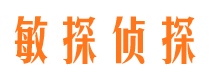 金山屯市私家侦探